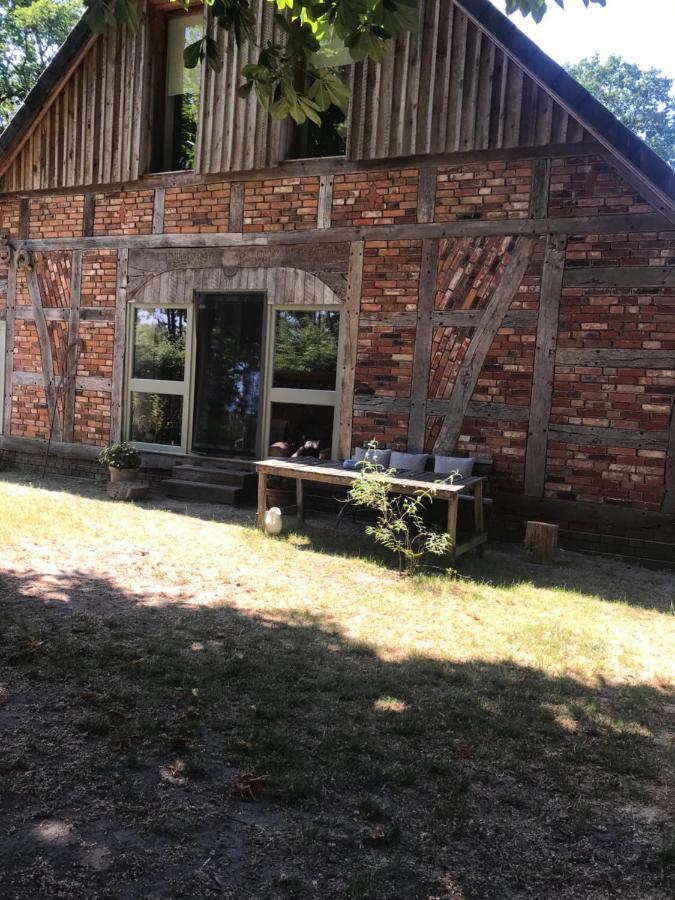 Gemuetliche Ferienwohnung An Der Elbe Bleckede Exterior foto